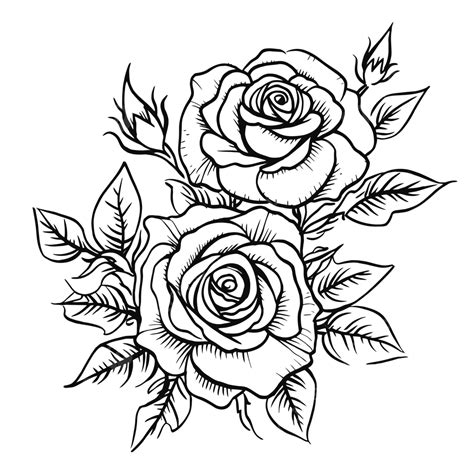 rose outline images